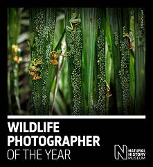 Wildlife photographer of the year 58 milano